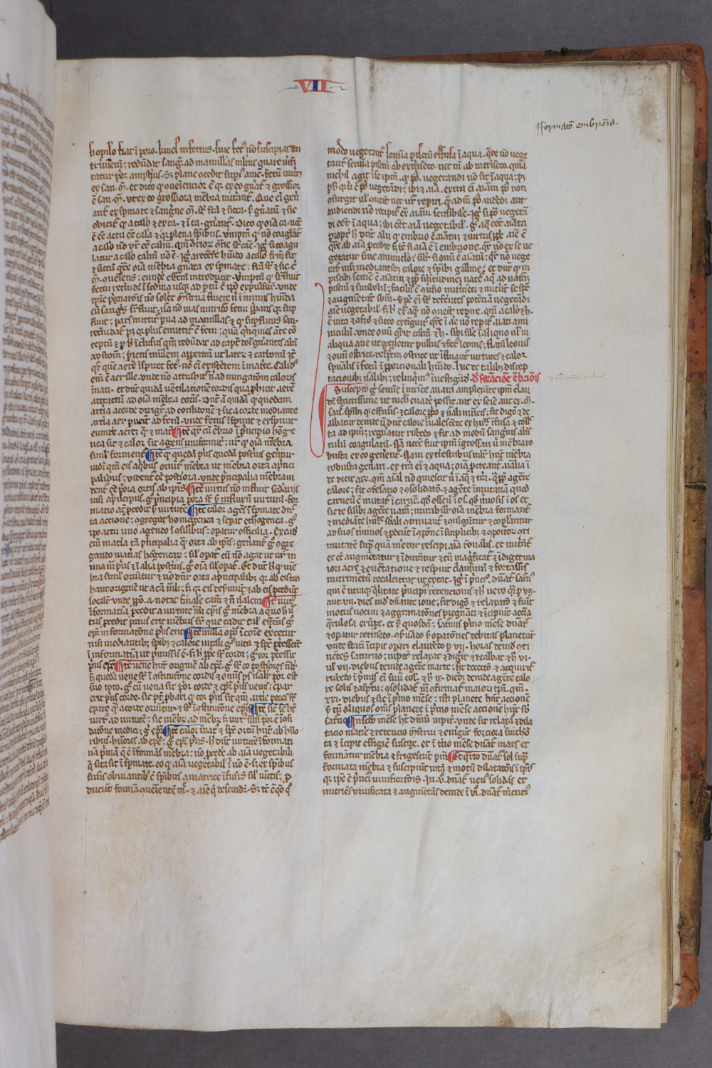 Folio 140 recto